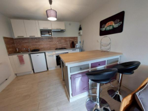 CONFORTABLE STUDIO 37M2 NETFLIX CANAL+... Albertville